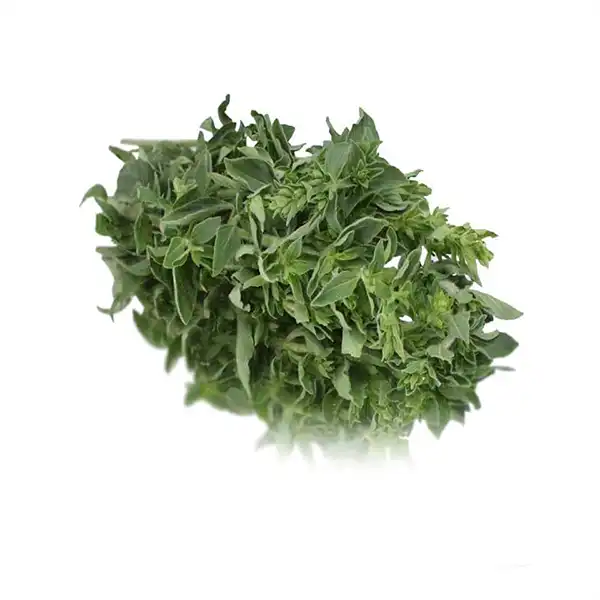 Oregano  (v2183p5)