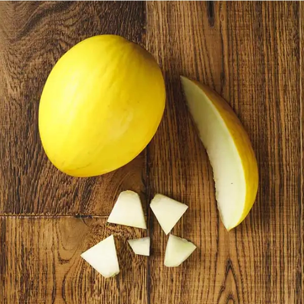 Honeydew Melon (v1793p5)