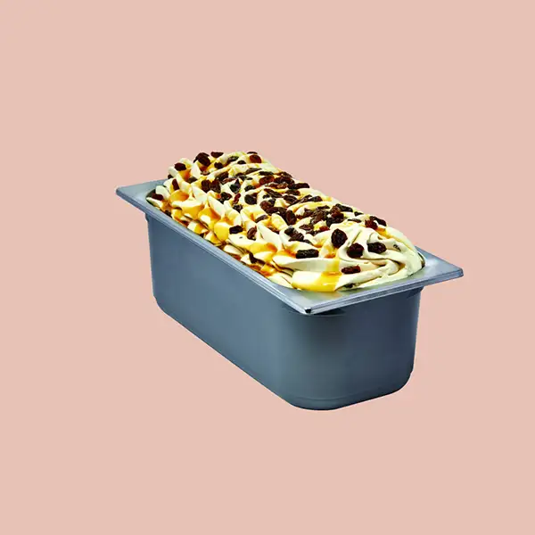 Rum & Raisin Ice Cream (30274p5)