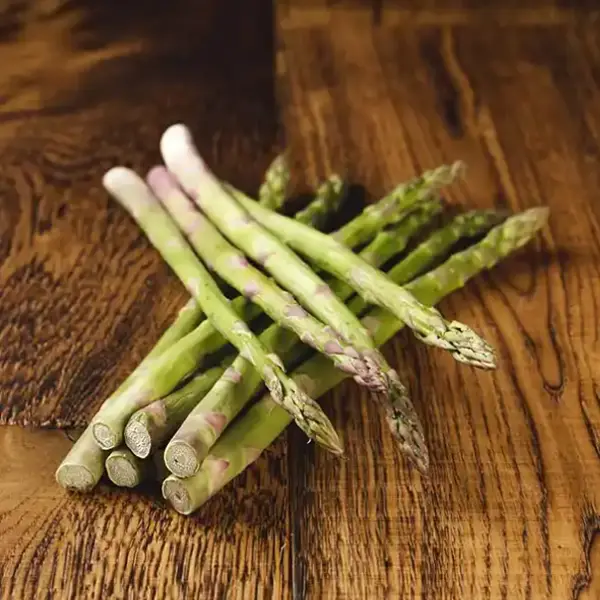 Asparagus (v1328p1)