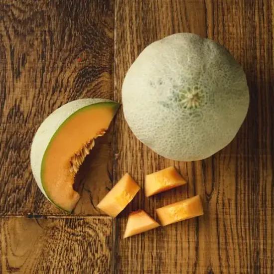 Cataloupe Melon (v1456p1)