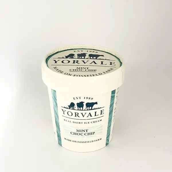 Mint Choc Chip Ice Cream (30249p2)