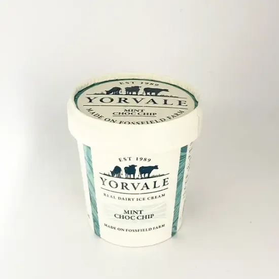 Mint Choc Chip Ice Cream (30249p2)