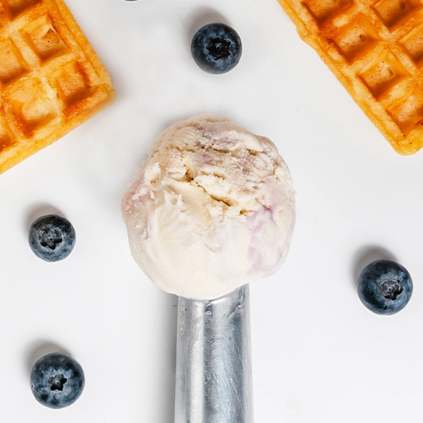 Blueberry Waffle Ice Cream (30129p1)