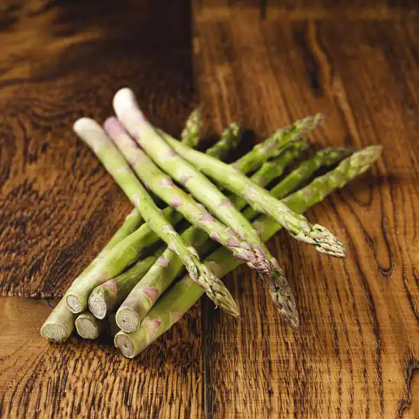Asparagus Spears (0131p5)