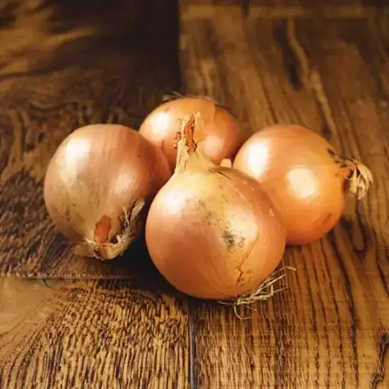 Cooking Onions (v1817p1)