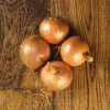 Pilgrim Fresh Produce Brown Onions (v1267p1)