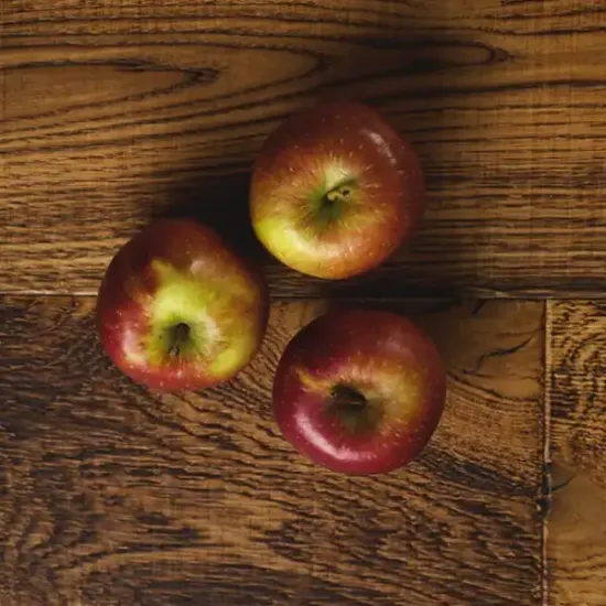 Fresh Produce Jazz Apple (fresh-produce-jazz-applep1)