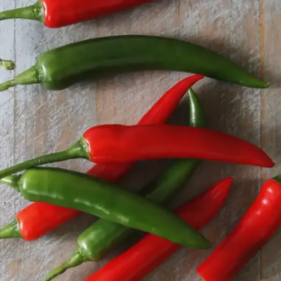 Pilgrim Fresh Produce Mixed Chillies (v3458p2)