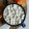 White Mini Vegan Mallows (a16095p1)