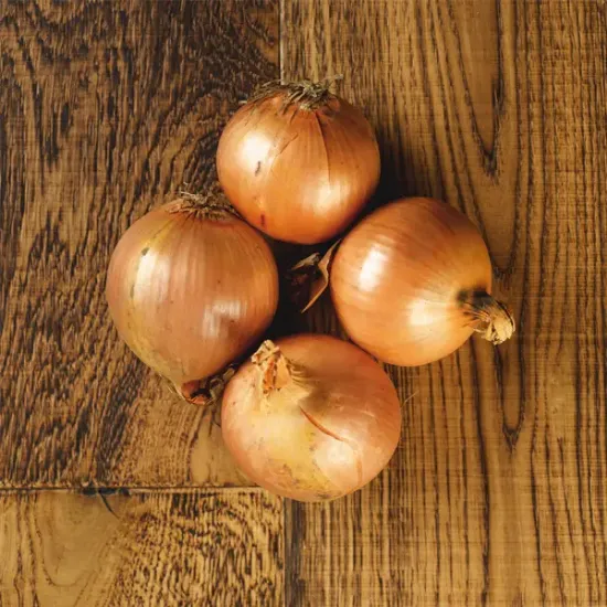 Prepacked Brown Onions (v1267p1)