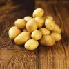 Prepacked Salad Potatoes (v1247p2)