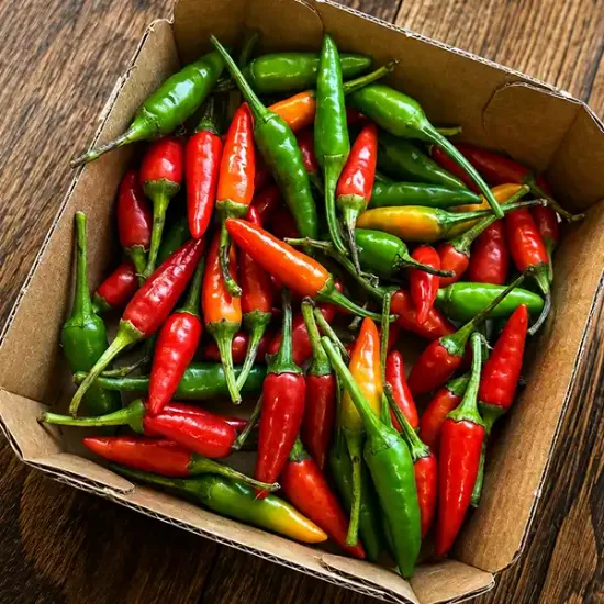Prepacked Mixed Chillies (v3458p2)