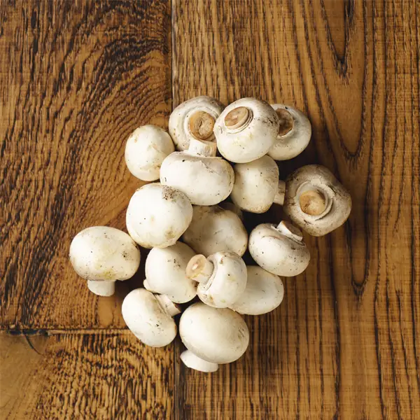 Prepacked White Button Mushrooms (v2339p1)