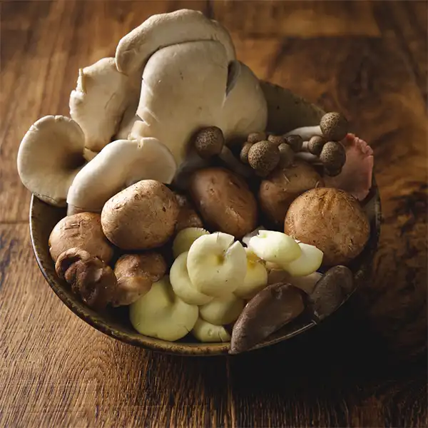Woodland Mix Mushrooms (v2713p1)