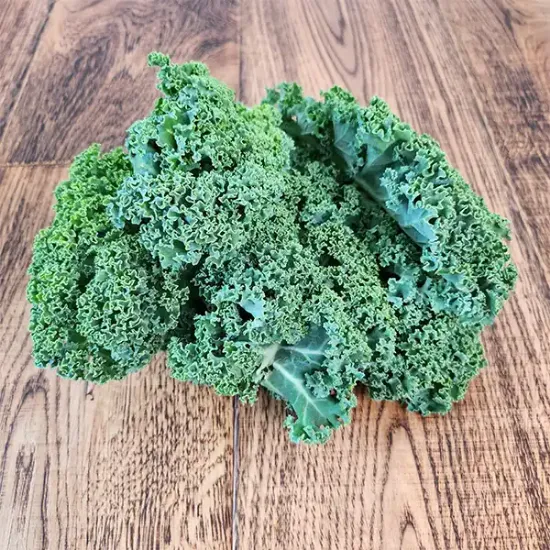 Curly Kale  (v1325p1)
