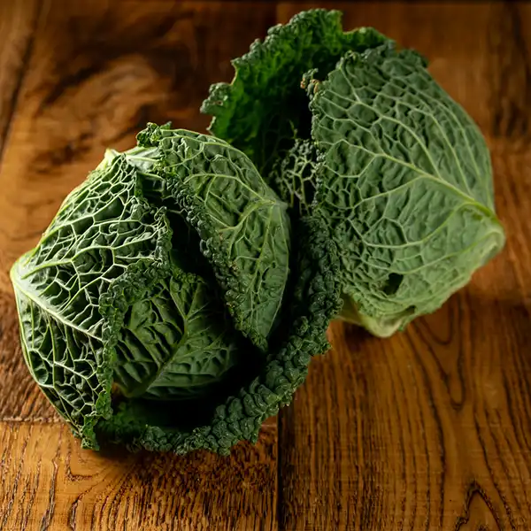 Savoy Cabbage (v1981p1)