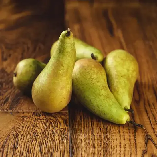 Pears (v1010p5)