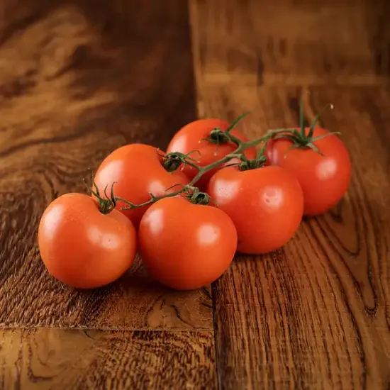 Vine Tomatoes (v1908p5)