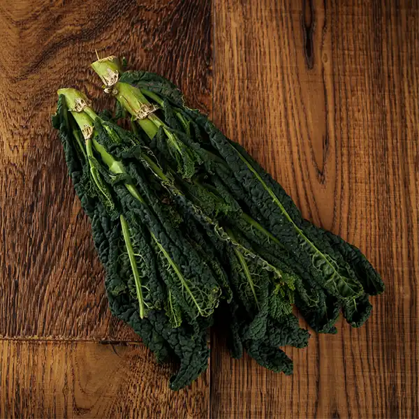 Cavolo Nero (v2144p5)
