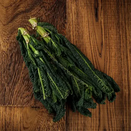 Cavolo Nero (v2144p5)