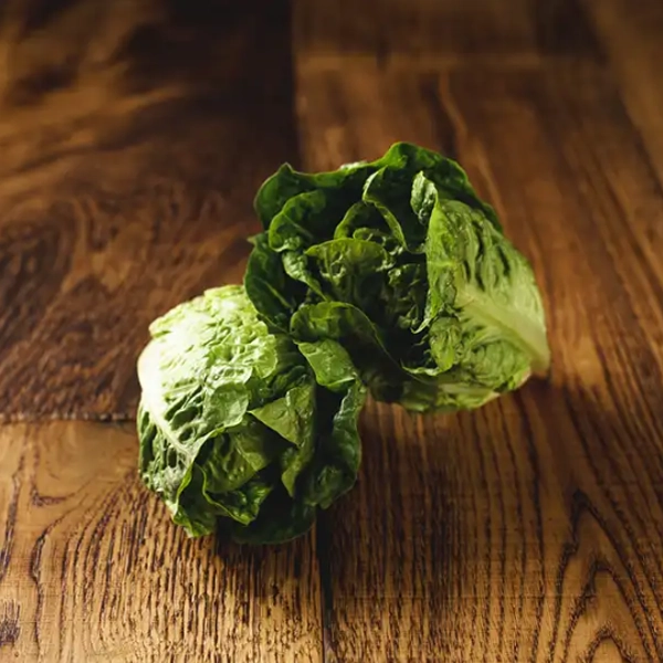 Little Gem Lettuce (v1289p1)
