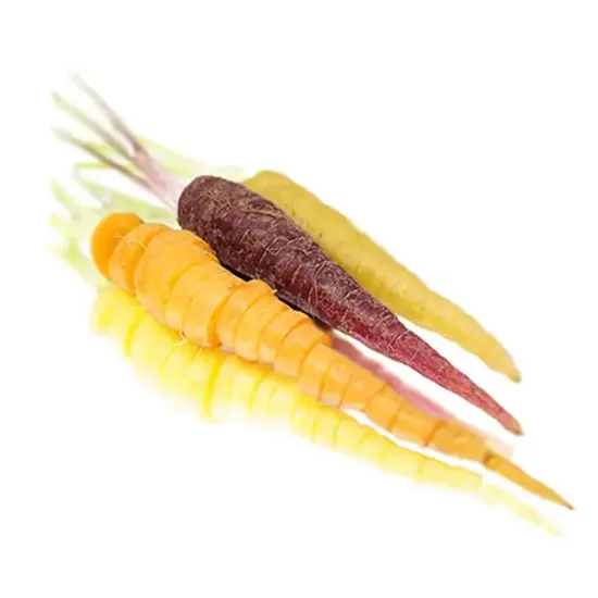 Baby Rainbow Carrots (v2417p5)