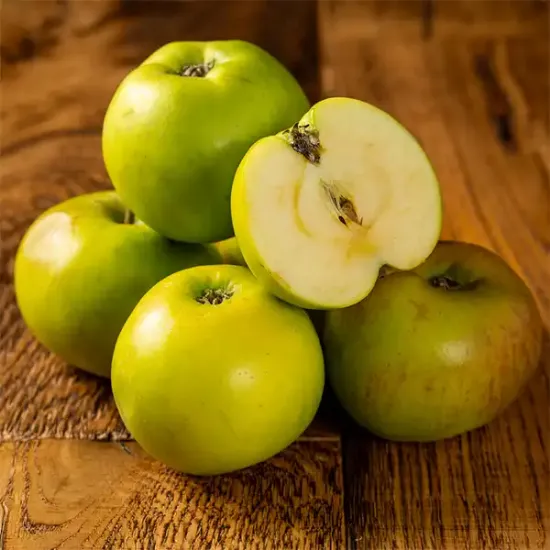 Bramley Apple (v1108p1)