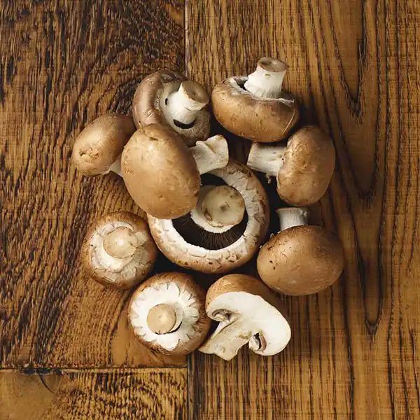 Fresh Chestnut Mushrooms (v2683p5)