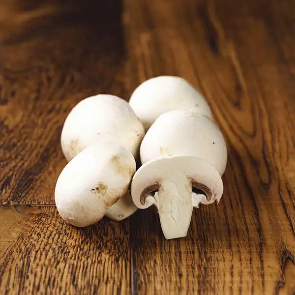Cup Mushrooms (v2679p5)