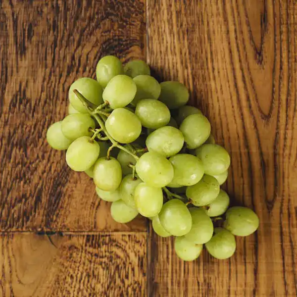 Green Grapes (v1216p5)