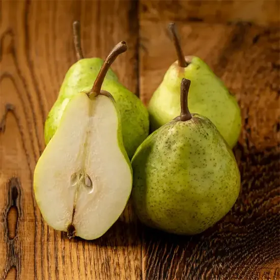 Green Williams Pears (v2735p1)