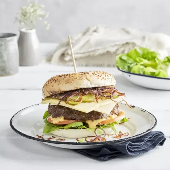 Mild Cheddar Cheese Slices (z5993p1)