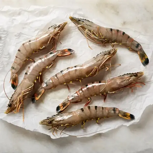 Raw Vannamei Shrimp 16/20 (raw-vannamei-shrimp-1620p1)