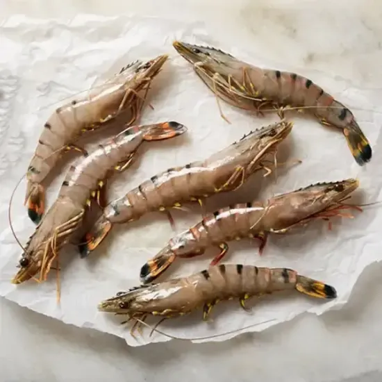 Raw Vannamei Shrimp 16/20 (raw-vannamei-shrimp-1620p1)