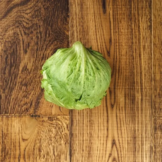 Iceberg Lettuce (v1323p1)