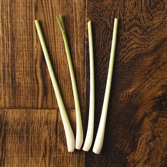 Lemongrass (v2262p5)