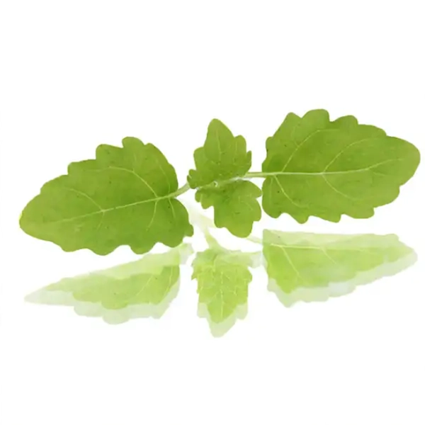 Micro Cress Lemon Balm (v2711p5)