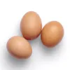 Free Range Eggs Medium (z814p1)