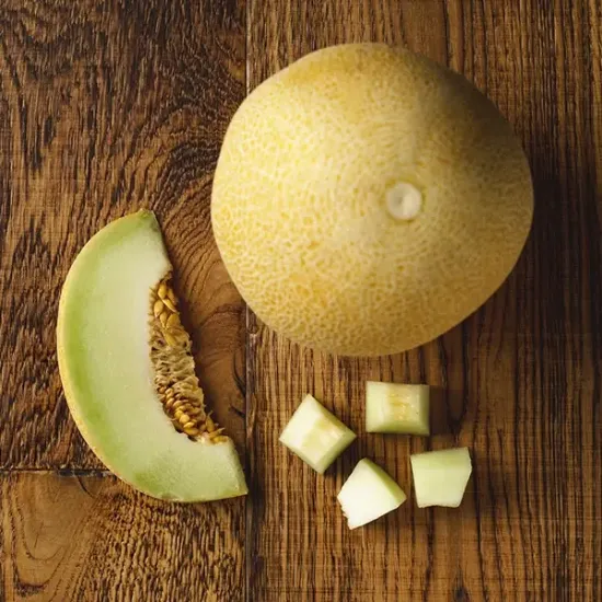 Cantaloupe Melon (v1481p1)