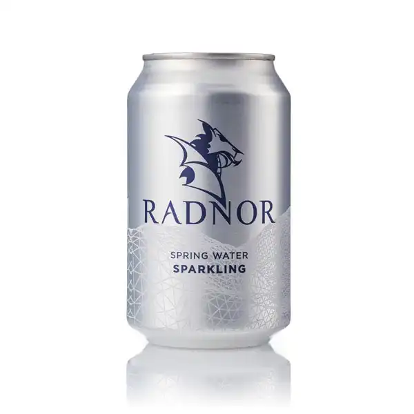Radnor Sparkling Spring Water Cans (a8960p2)