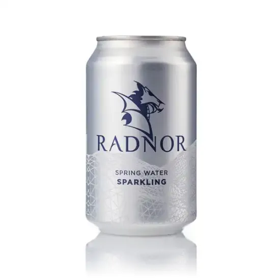Radnor Sparkling Spring Water Cans (a8960p2)