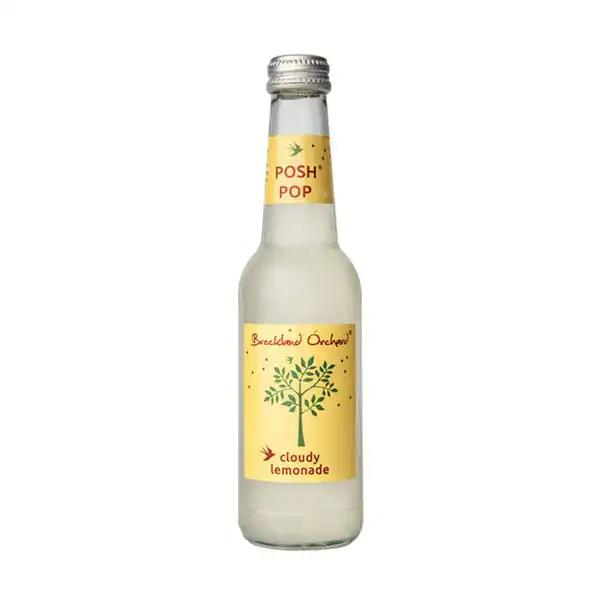 Posh Pop Cloudy Lemonade Bottles (a8402p2)