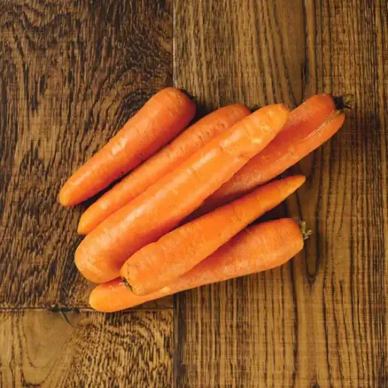Carrots (v1982p5)