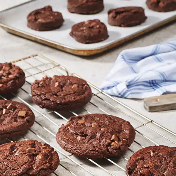Double Chocolate Chunk Cookie Pucks (67000p1)