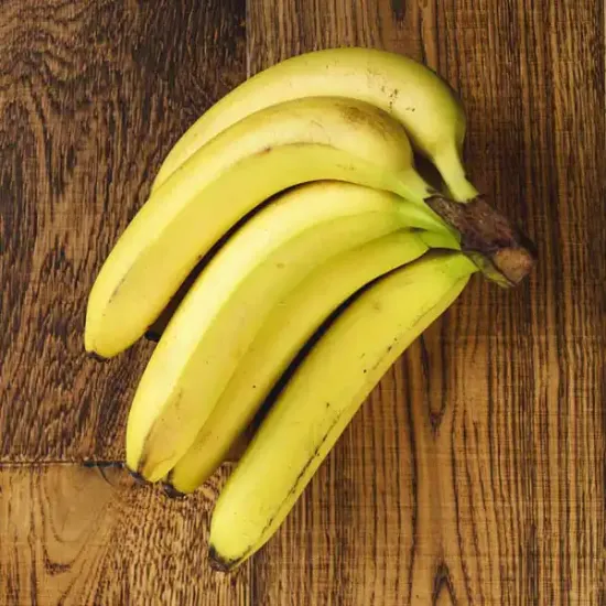 Bananas (v1048p5)