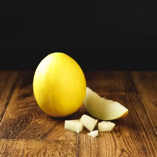 Honeydew Melon  (v1353p1)