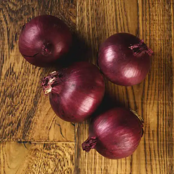Red Onions (v2265p5)