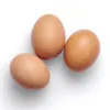 Fresh Medium Free Range Eggs (z814p2)