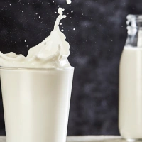 Milk & Cream 